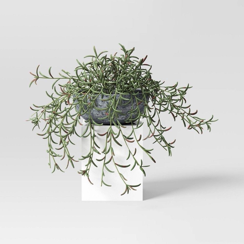 Threshold Studio McGee 10" Fish Hook Sedum Artificial Plant Decor New